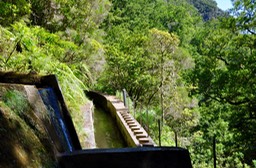 DSC_0136 (1)