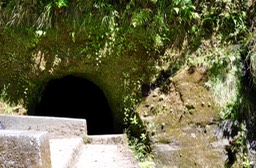 DSC_0160 (1)
