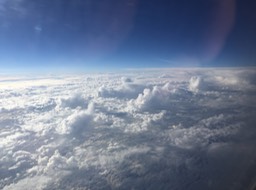 IMG_4255