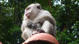 Langkawi 2009