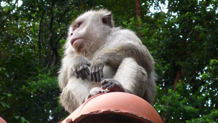 Langkawi 2009